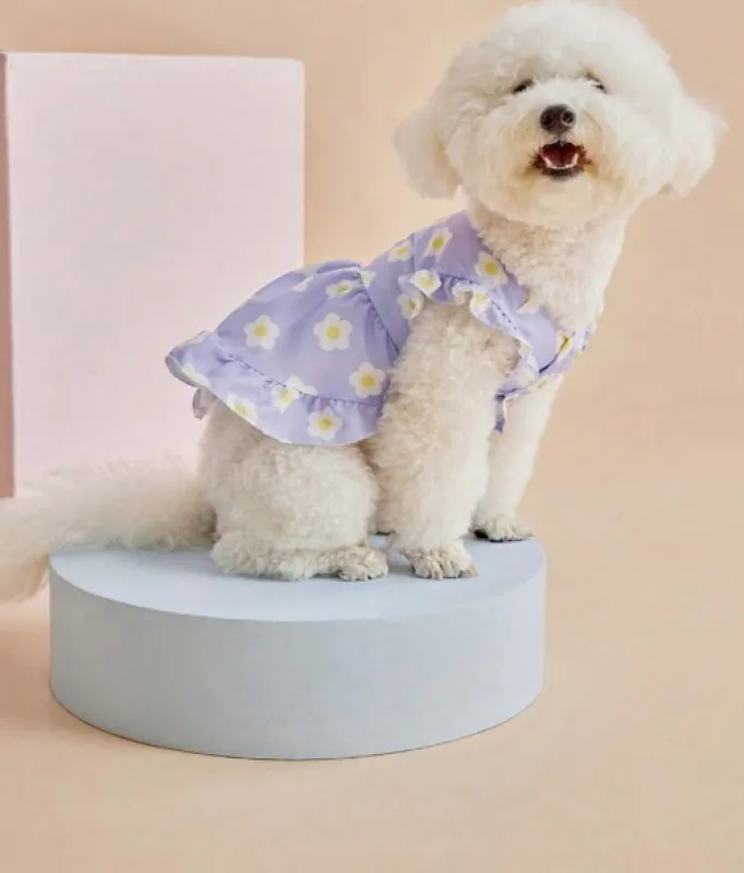 Floral Print Pet Dress with Ruffle Sleeves & Button Front